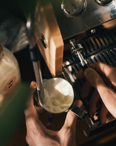 Jak vyšlehat to nejlepší mléko do cappuccina či latte pomocí parní trysky?